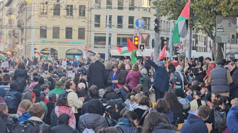 AIDHDES interpela al Departamento Federal de Relaciones Exteriores (DFAE) sobre la detención de ciudadanos suizos y exige medidas contra Israel