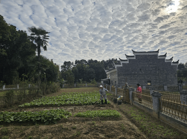Jiangxi en Perspectiva: Un Diálogo entre AIDHDES y CGTN sobre Desarrollo, Identidad y Derechos Humanos