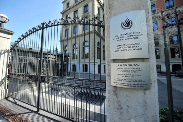 AIDHDES presenta denuncia ante la OACNUDH y alerta sobre la erosión del orden internacional tras el debate urgente del Consejo de Seguridad